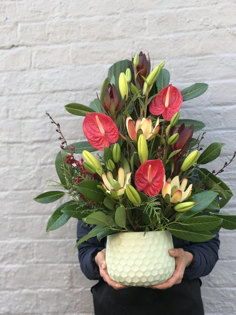 Flower Delivery Brighton Pot Flower Arrangement