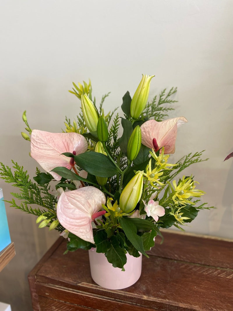 Flower Delivery Brighton Pot Flower Arrangement