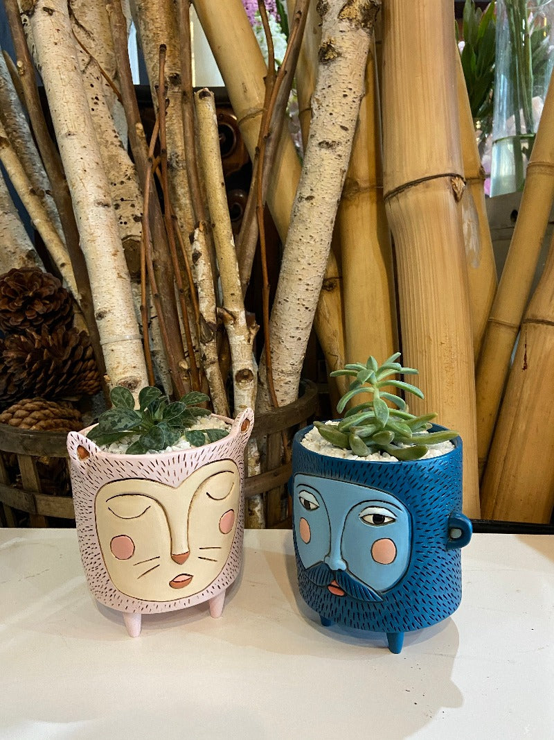 quirky indoor plant pots Quirky Pot Indoor Plant