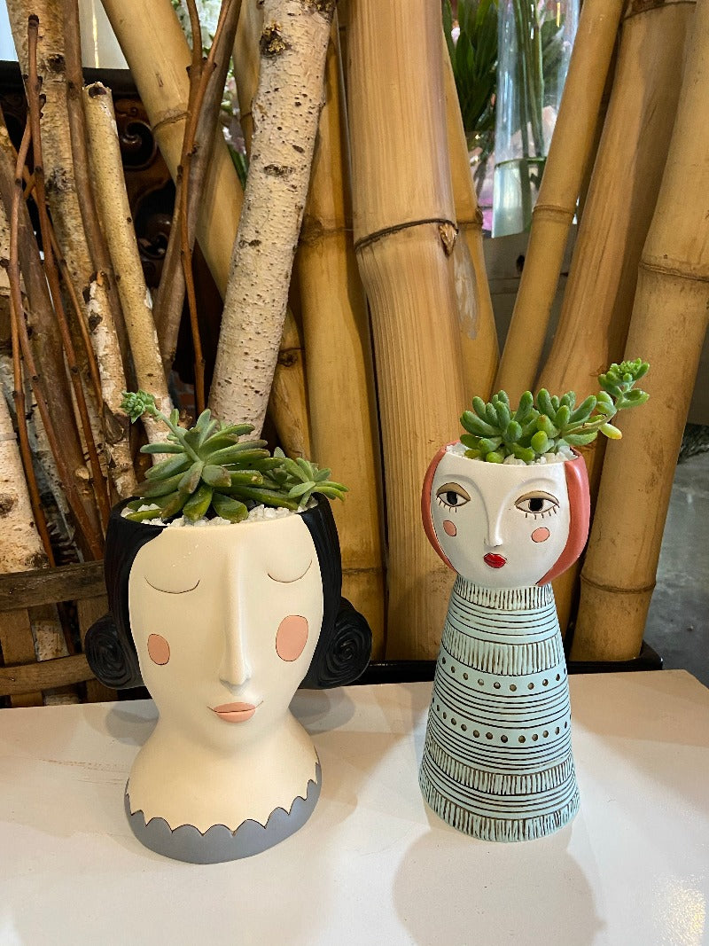 face pot plant Quirky Pot Indoor Plant