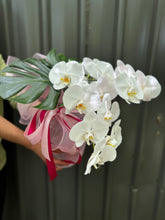 Stunning phalaenopsis orchid bouquet start from $55