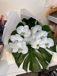 Stunning phalaenopsis orchid bouquet start from $55