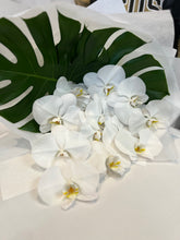 Stunning phalaenopsis orchid bouquet start from $60