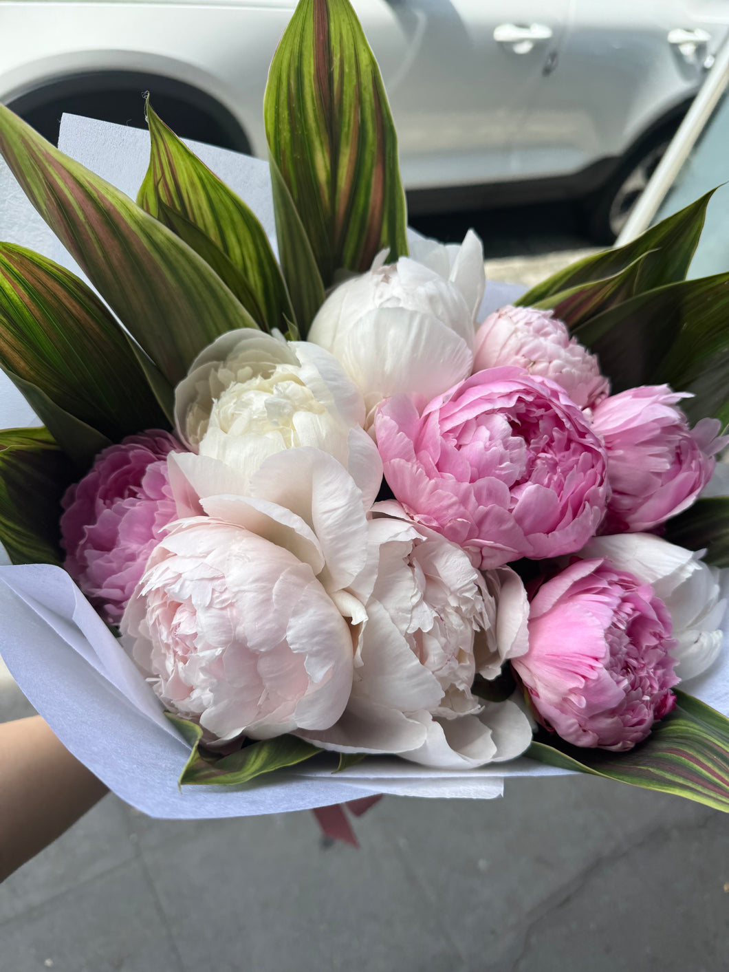 Peony bouquet from $60