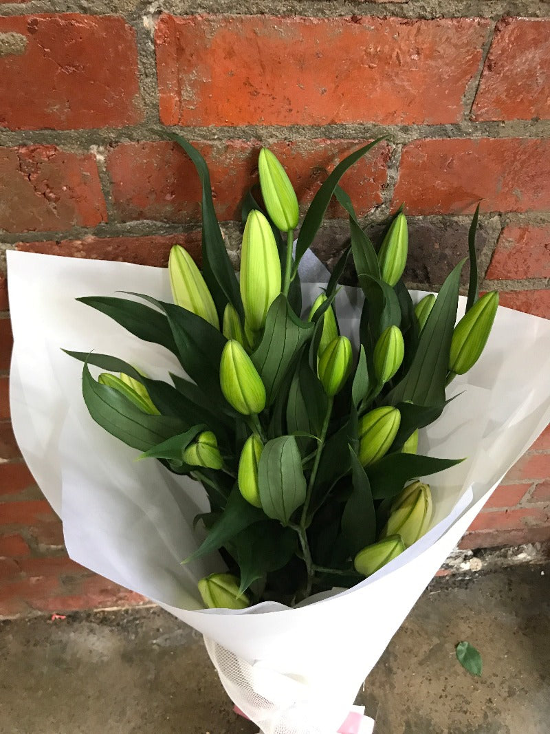 brighton florists just lilies from $40 - 01