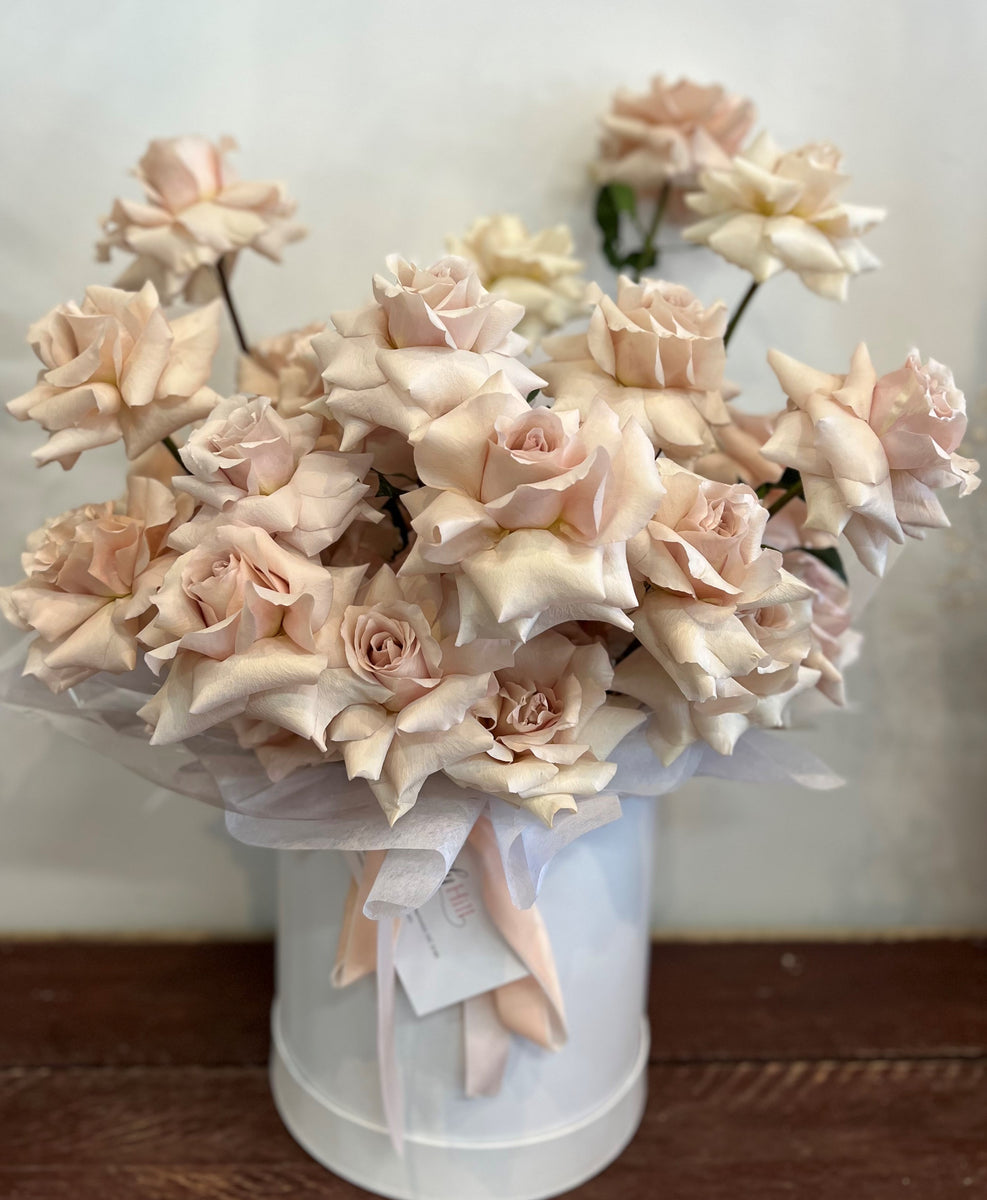 Just Blush - blush pink roses