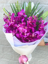florist brighton orchid lover 01
