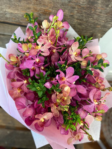 florist brighton orchid lover 05