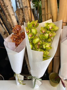 flower shop Brighton Premium Cybidium orchid 04