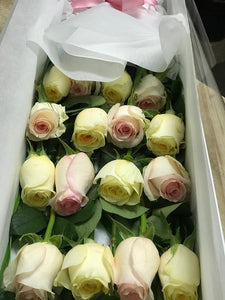 premium rose box 03