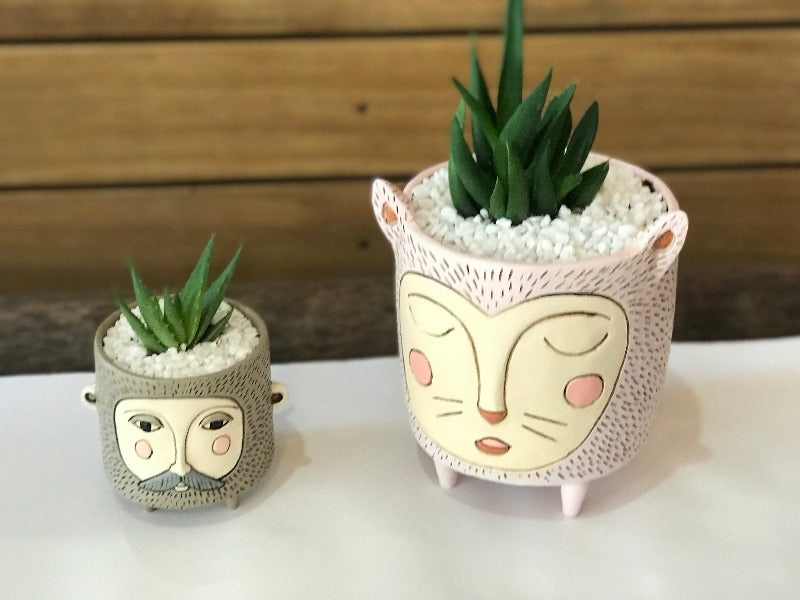 quirky indoor plant pots Quirky Pot Indoor Plant