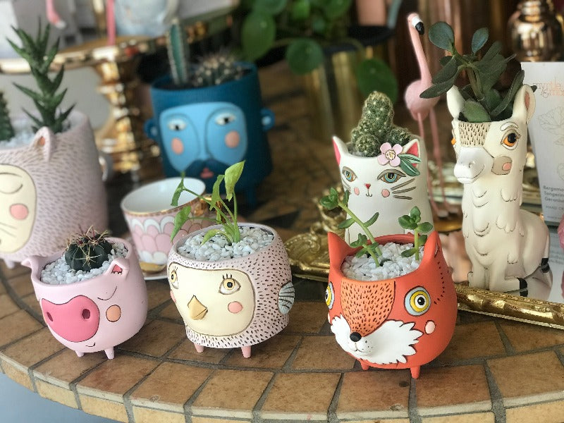quirky indoor plant pots Quirky Pot Indoor Plant